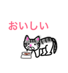 色んな猫（個別スタンプ：19）