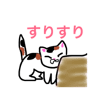 色んな猫（個別スタンプ：20）