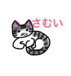 色んな猫（個別スタンプ：22）