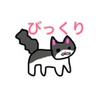 色んな猫（個別スタンプ：23）
