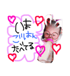みーさん♥すたんぷ（個別スタンプ：5）
