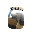頑張れジョニーくん（個別スタンプ：3）