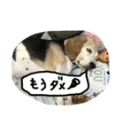 頑張れジョニーくん（個別スタンプ：6）