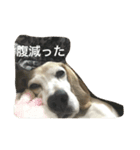 頑張れジョニーくん（個別スタンプ：8）