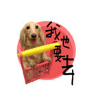 DOBBY the dog（個別スタンプ：6）