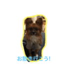963pu（個別スタンプ：2）