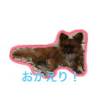 963pu（個別スタンプ：7）