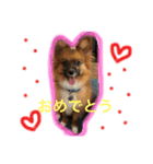 963pu（個別スタンプ：15）