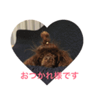 ヨウちゃん(トイプードル)（個別スタンプ：4）