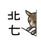 Milu Cat Life..（個別スタンプ：7）