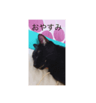 モカココア（個別スタンプ：2）