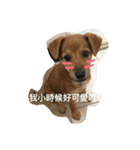 Ganbb so cute cute~~（個別スタンプ：8）
