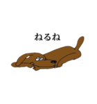 GOODOGGYDOG（個別スタンプ：12）