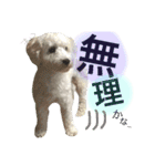 いとう家のlucky君。一言ver（個別スタンプ：7）