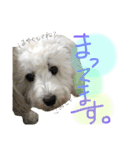 いとう家のlucky君。一言ver（個別スタンプ：13）