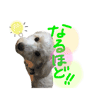 いとう家のlucky君。一言ver（個別スタンプ：14）