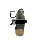 water bottle（個別スタンプ：8）
