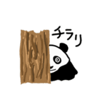 Panda kun.（個別スタンプ：2）