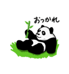 Panda kun.（個別スタンプ：5）