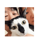 Samba ＆ Core（個別スタンプ：8）