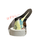 bird kuu moko（個別スタンプ：12）