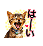 小林家の愉快な仲間たち2（個別スタンプ：4）