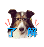 小林家の愉快な仲間たち2（個別スタンプ：5）