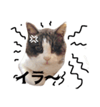 小林家の愉快な仲間たち2（個別スタンプ：30）