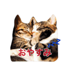 小林家の愉快な仲間たち2（個別スタンプ：33）