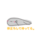 ハイギョのともちんです。（個別スタンプ：16）