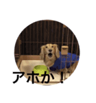 ラッキー ふなき（個別スタンプ：4）