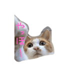 ままぷぷ（個別スタンプ：1）