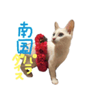 ふぁあちゃん2（個別スタンプ：1）