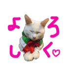 ふぁあちゃん2（個別スタンプ：5）