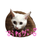 ふぁあちゃん2（個別スタンプ：6）