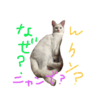 ふぁあちゃん2（個別スタンプ：9）
