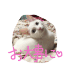 ふぁあちゃん2（個別スタンプ：11）