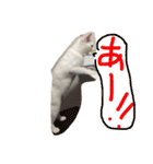 ふぁあちゃん2（個別スタンプ：13）