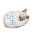 ふぁあちゃん2（個別スタンプ：16）