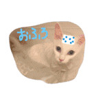 ふぁあちゃん2（個別スタンプ：18）