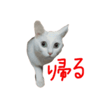 ふぁあちゃん2（個別スタンプ：19）