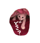 ふぁあちゃん2（個別スタンプ：20）