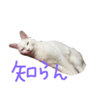 ふぁあちゃん2（個別スタンプ：22）