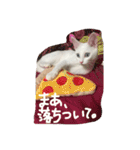 ふぁあちゃん2（個別スタンプ：32）