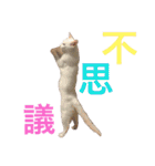 ふぁあちゃん2（個別スタンプ：37）