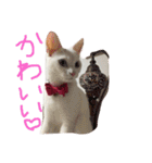 ふぁあちゃん2（個別スタンプ：38）