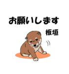 板垣さんが使う名前スタンプ・子犬イラスト（個別スタンプ：1）