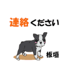 板垣さんが使う名前スタンプ・子犬イラスト（個別スタンプ：12）