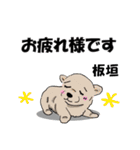 板垣さんが使う名前スタンプ・子犬イラスト（個別スタンプ：14）