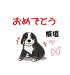 板垣さんが使う名前スタンプ・子犬イラスト（個別スタンプ：16）